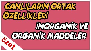 Canlıların Ortak Özellikleri  İnorganik ve Organik Maddeler Özet  TYT Biyoloji [upl. by Moersch281]