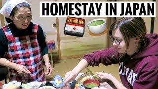 MY JAPANESE HOMESTAY EXPERIENCE Pt 1 [upl. by Aleak]