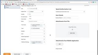 Workday Expense Reports [upl. by Bennion218]