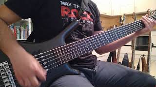 SHOOTS AND LADDERS  KORN  BASS COVER [upl. by Armil192]