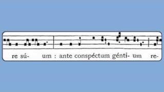 Viderunt Omnes Christmas Gradual [upl. by Nauquf]