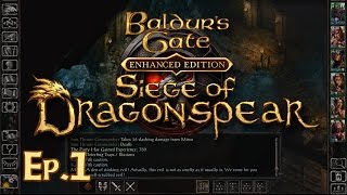 Baldurs Gate Siege of Dragonspear Ep 1  Reunions  Lets Play Gameplay Walkthrough [upl. by Namus]