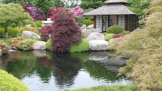 An extraordinary Japanese garden  Un jardin japonais extraordinaire [upl. by Ellingston]