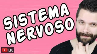 SISTEMA NERVOSO  FISIOLOGIA  Aula  Biologia com Samuel Cunha [upl. by Sayer868]