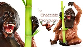 Chocolate Orangutan [upl. by Dlarej839]