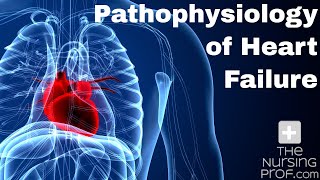 Pathophysiology of Heart Failure [upl. by Spratt222]