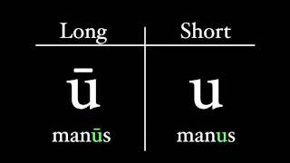 The Latin Alphabet  Vowel Pronunciation [upl. by Akiemahs]