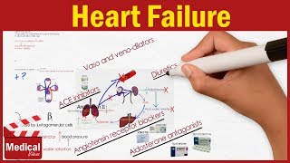 Pharmacology  Heart Failure Symptoms Causes and Treatment Options FROM A TO Z [upl. by Paulson]