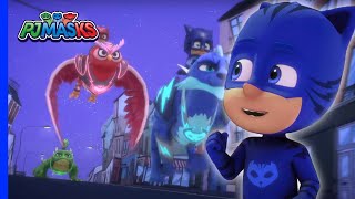 Thieves in the Night Caught  PJ Masks [upl. by Fulks606]