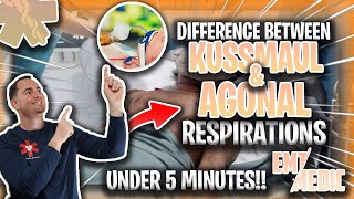 Kussmaul amp Agonal Respirations Explained [upl. by Astrea572]