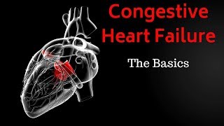 Congestive Heart Failure CHF  Basics Overview [upl. by Selemas]