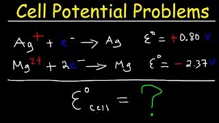 Cell Potential Problems  Electrochemistry [upl. by Clarise]