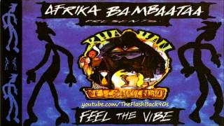 Afrika Bambaataa  Feel The Vibe Extended Mix [upl. by Cull]