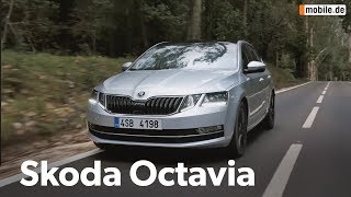 KurzCheck mobilede  Skoda Octavia [upl. by Nataline]