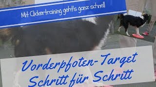 Tricktraining Hund  Targettraining Bodentarget Vorderpfoten [upl. by Elockcin]