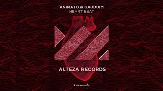 Animato vs Gaudium  Heart Beat [upl. by Semaj]