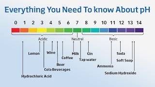 Using a pH Meter  Everything You Need to Know About pH [upl. by Aylat]