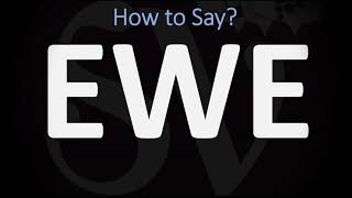 How to Pronounce Ewe CORRECTLY [upl. by Haibot]