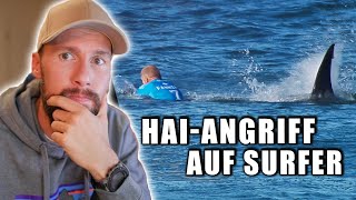 HAIANGRIFF auf Surfer  Wie konnte das passieren  Analyse des Vorfalls  Robert Marc Lehmann [upl. by Gytle]