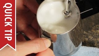 How to AutoFroth Milk for Lattes [upl. by Trescott]