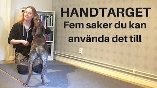 Fem saker du kan anvaÌˆnda handtarget till [upl. by Eidnak]