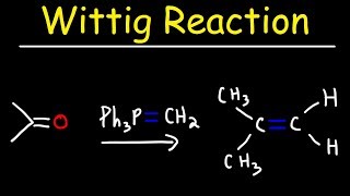 Wittig Reaction Mechanism [upl. by Hayarahs]