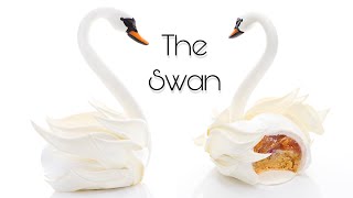 The Swan [upl. by Cathi]