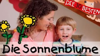 🌺 Die Sonnenblume  Singen Tanzen und Bewegen  Kinderlieder [upl. by Anehsak]