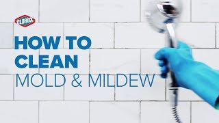 Clorox® HowTo  Clean Mold amp Mildew [upl. by Ahsenyl]