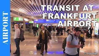 TRANSIT WALK AT FRANKFURT Airport FRA Terminal 1  Connection Flight Transfer Arriving amp Departing [upl. by Percival]