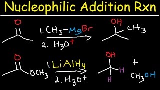 Nucleophilic Addition Reaction Mechanism Grignard Reagent NaBH4 LiAlH4 Imine Enamine Reduction [upl. by Eelanaj]